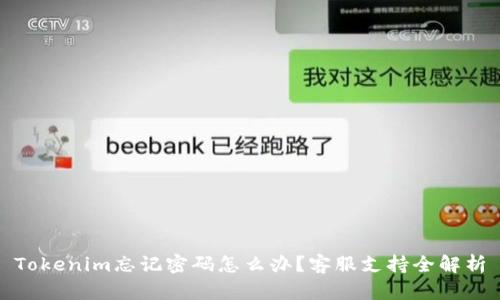 Tokenim忘记密码怎么办？客服支持全解析