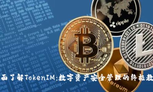 全面了解TokenIM：数字资产安全管理的终极教程