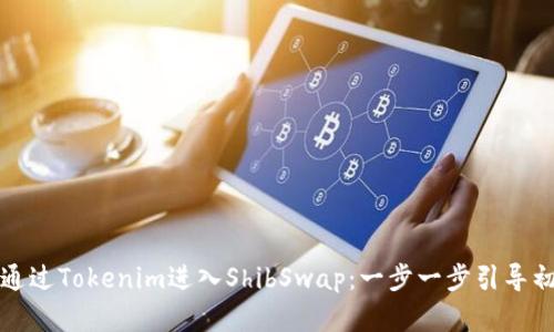 如何通过Tokenim进入ShibSwap：一步一步引导初学者