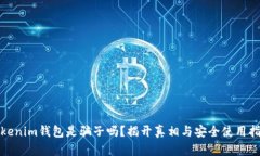 Tokenim钱包是骗子吗？揭开真相与安全使用指南