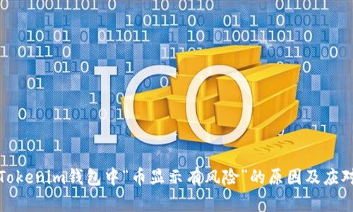 解析Tokenim钱包中“币显示有风险”的原因及应对策略