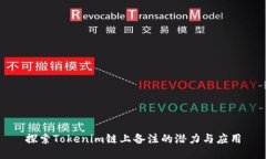 探索Tokenim链上备注的潜力与应用