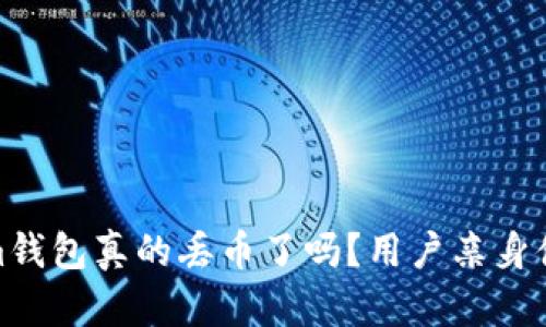 Tokenim钱包真的丢币了吗？用户亲身体验揭秘