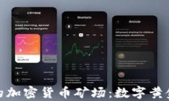 探秘乌克兰的加密货币矿场：数字黄金的秘密基