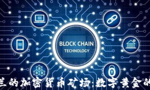 
探秘乌克兰的加密货币矿场：数字黄金的秘密基地