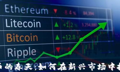 
加密货币的春天：如何在新兴市场中抓住机遇