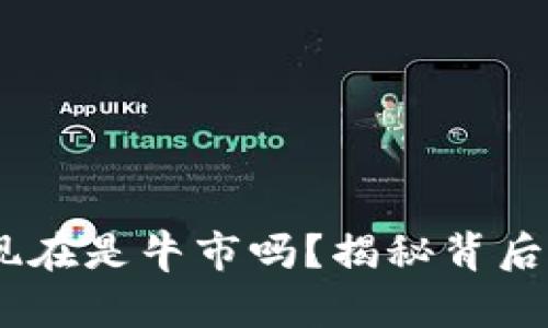 加密货币市场：现在是牛市吗？揭秘背后动态与投资策略