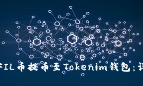 如何将欧易平台的FIL币提币至Tokenim钱包：详细指南与注意事项