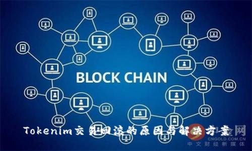 Tokenim交易回滚的原因与解决方案