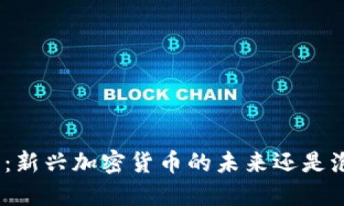 Pi币：新兴加密货币的未来还是泡沫？