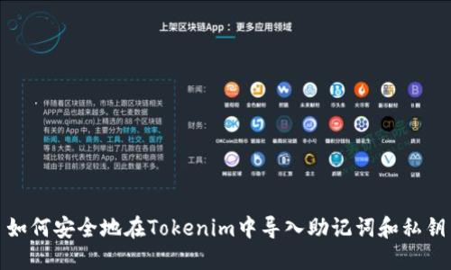 如何安全地在Tokenim中导入助记词和私钥
