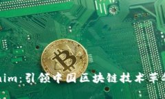 探索Tokenim：引领中国区块链技术革命的新力量