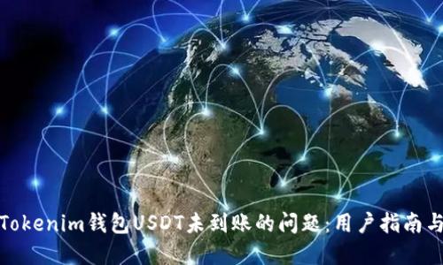 如何解决Tokenim钱包USDT未到账的问题：用户指南与应对策略