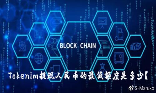 Tokenim提现人民币的最低额度是多少？