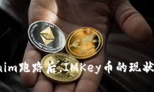 Tokenim跑路后，IMKey币的现状如何？