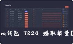 怎样通过Tokenim钱包 TR20 赚取能量？详解方法与技