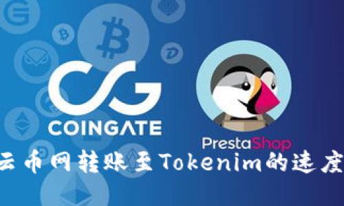 如何加速云币网转账至Tokenim的速度：全面指南