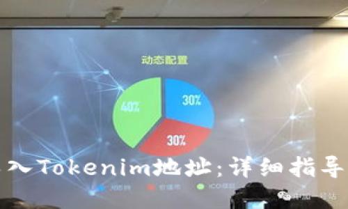 如何正确导入Tokenim地址：详细指导与实用技巧