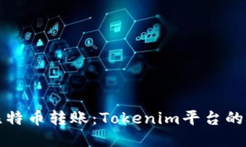 如何高效进行比特币转账：Tokenim平台的优势与使用技巧
