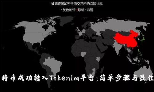 如何将币成功转入Tokenim平台：简单步骤与最佳实践