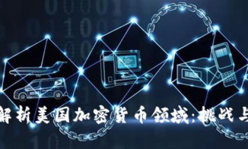深入解析美国加密货币领域：挑战与机遇