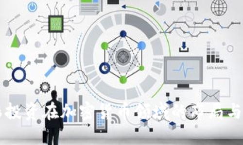 红杉投资在加密货币领域的布局与展望