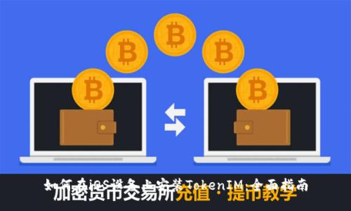 如何在iOS设备上安装TokenIM：全面指南