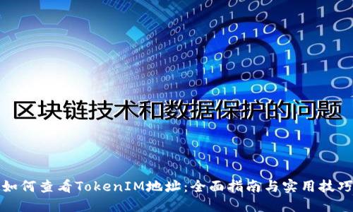 如何查看TokenIM地址：全面指南与实用技巧