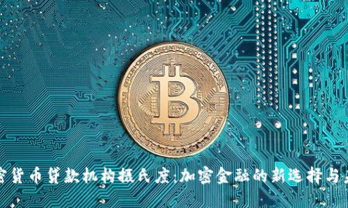 探究加密货币贷款机构摄氏度：加密金融的新选择与未来挑战