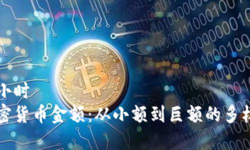 前年差小时
理解加密货币金额：从小额到巨额的多样化探索