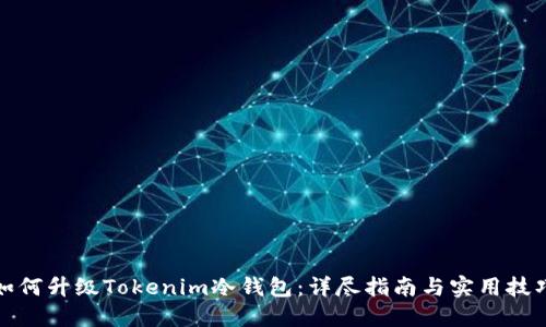 如何升级Tokenim冷钱包：详尽指南与实用技巧