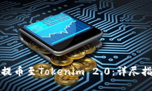 如何将交易所提币至Tokenim 2.0：详尽指南与实用技巧