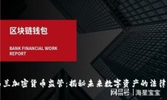 新西兰加密货币监管：揭秘未来数字资产的法律