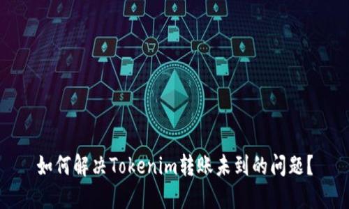 如何解决Tokenim转账未到的问题？