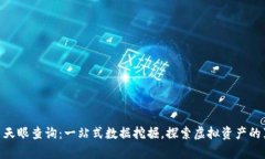 加密货币天眼查询：一站式数据挖掘，探索虚拟