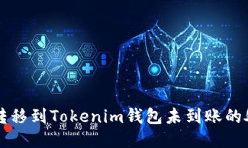 MDX币转移到Tokenim钱包未到账的处理指南