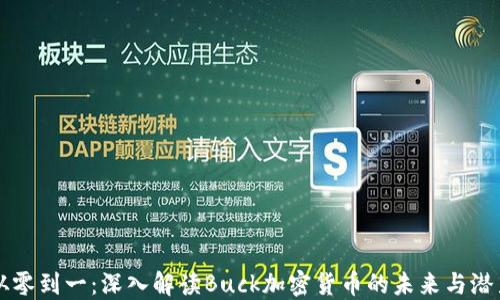 
从零到一：深入解读Buck加密货币的未来与潜力