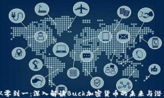 从零到一：深入解读Buck加密货币的未来与潜力