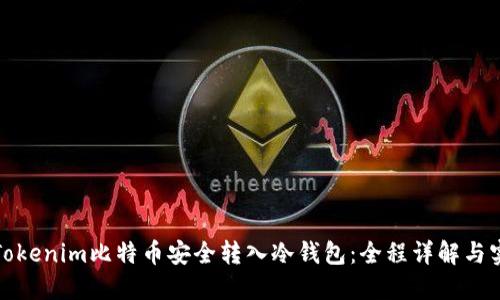 如何将Tokenim比特币安全转入冷钱包：全程详解与实用技巧