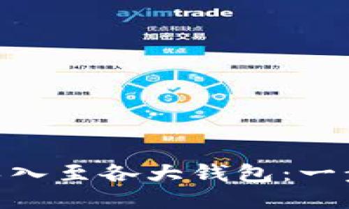 如何将Tokenim导入至各大钱包：一步步教你轻松操作