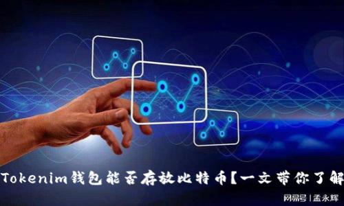 Tokenim钱包能否存放比特币？一文带你了解