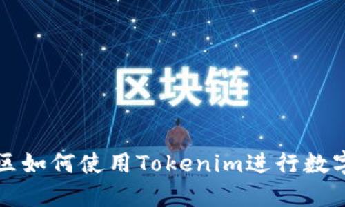 在大陆地区如何使用Tokenim进行数字资产交易