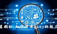 央视频道揭秘：加密货币Abey的魅力与风险