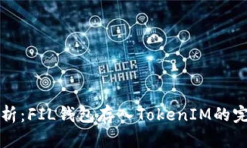 详细解析：FIL钱包存入TokenIM的完整教程