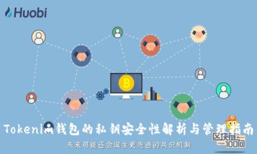 Tokenim钱包的私钥安全性解析与管理指南