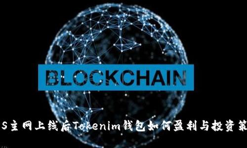 EOS主网上线后Tokenim钱包如何盈利与投资策略
