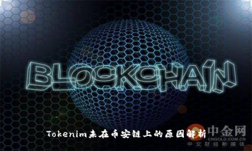 Tokenim未在币安链上的原因解析