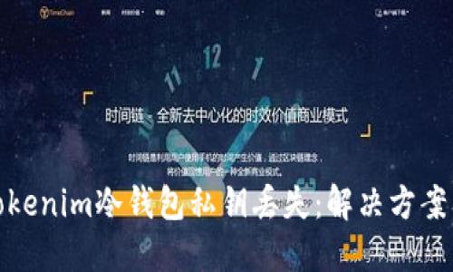 如何应对Tokenim冷钱包私钥丢失：解决方案及预防措施