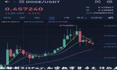 全面解析BitPay：加密数字货币支付的未来