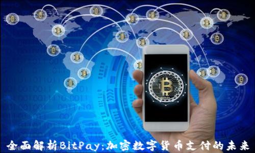 
全面解析BitPay：加密数字货币支付的未来